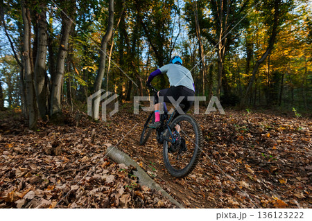 Mountain Biker Riding Through Autumn Forest Trail Amid Leaf-Litter Ground 136123222