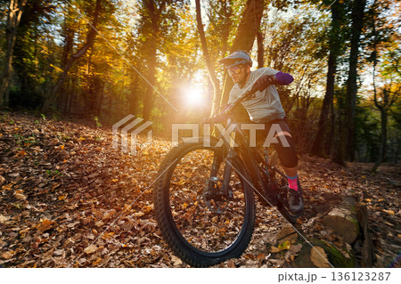 Autumn Mountain Biker Thrilling Ride Through Sunlit Forest Trail On Rugged Off-Road Autumn Mountain Biker Thrilling Ride Through Sunlit Forest Trail On Rugged Off-Road 136123287