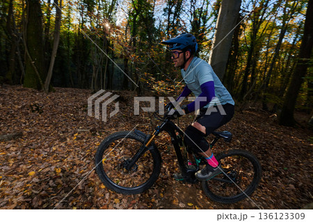 Man Mountain Biking Through Autumn Forest Trail in Protective Gear and Helmet at Sunlit Moment Man Mountain Biking Through Autumn Forest Trail in Protective Gear and Helmet at Sunlit Moment 136123309