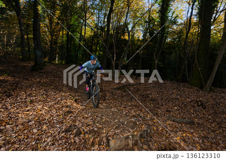 Autumn Mountain Biking Through Leafy Forest Trail With Focused Rider On Mountain Bike 136123310