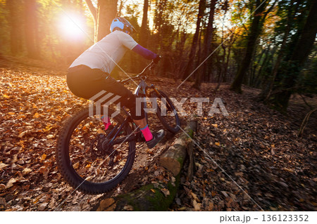 Autumn Mountain Biker Navigates Forest Trail at Sunset in Energetic Outdoor Adventure on Leafy Path 136123352