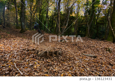 Autumn Mountain Biker Navigates Leaf-Covered Forest Trail On Quiet Fall Day Through Dense Woodland Paths 136123431