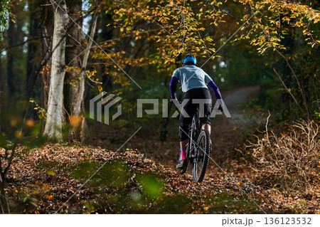 Mountain Biker Traverses Autumn Forest Trail in Gear, Determination, and Golden Leaves Mountain Biker Traverses Autumn Forest Trail in Gear, Determination, and Golden Leaves 136123532