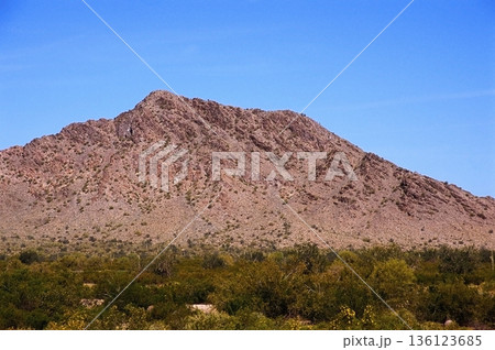 Film Image Sonora Desert Arizona Film Image Sonora Desert Arizona 136123685