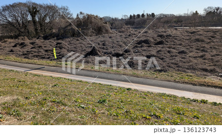 小貝川の河川敷 小貝川の河川敷 136123743