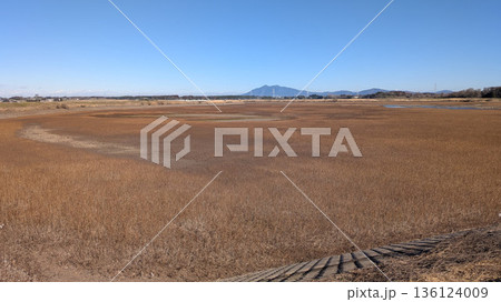 小貝川 福岡堰 136124009