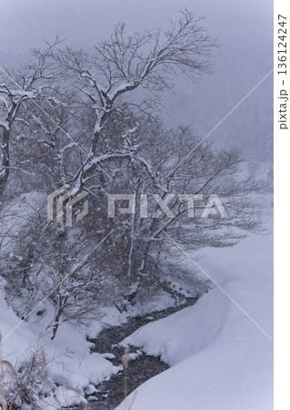 東北小川の雪景色 136124247