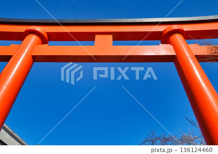 京都 伏見稲荷大社　青空に映える美しい朱色の鳥居　(京都府京都市伏見区) 136124460