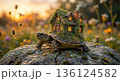 Fantasy turtle carrying cozy cottage house on shell. AI-generated item 136124582