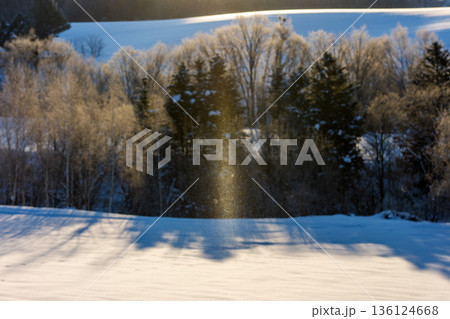 雪原に現れたサンピラーとダイヤモンドダスト 北海道南富良野の自然現象 136124668