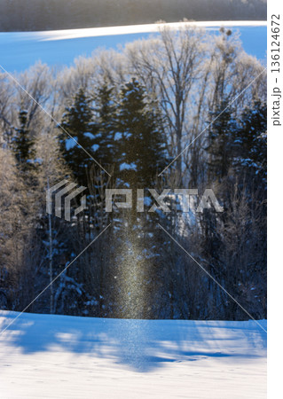 雪原に現れたサンピラーとダイヤモンドダスト 北海道南富良野の自然現象 136124672