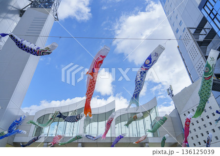 都会の青空を泳ぐこいのぼりの初夏風景 都会の青空を泳ぐこいのぼりの初夏風景 136125039