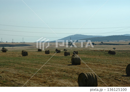 straw rolls from the leftover part of the wheat harvest 136125100