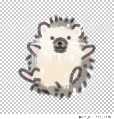 ハリネズミの赤ちゃんがちょこんと座っている水彩風イラスト ペットの飼育ブログや育児サイトの挿絵に 136125370