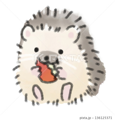 リンゴを食べているハリネズミの赤ちゃんの水彩風イラスト ペットの食事や健康のコラムの挿絵に 136125371