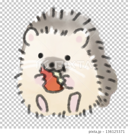 リンゴを食べているハリネズミの赤ちゃんの水彩風イラスト ペットの食事や健康のコラムの挿絵に 136125371