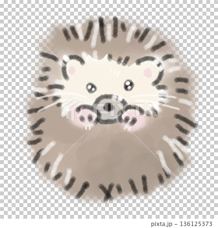 水彩插畫,描繪了一隻小刺蝟從前面探出頭來。非常適合用於寵物介紹和動物福利插畫。 水彩插畫,描繪了一隻小刺蝟從前面探出頭來。非常適合用於寵物介紹和動物福利插畫。 136125373