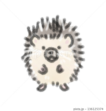 つぶらな瞳で佇むハリネズミの赤ちゃんの水彩風イラスト 飼育日記やペットコラムの挿絵に 136125374