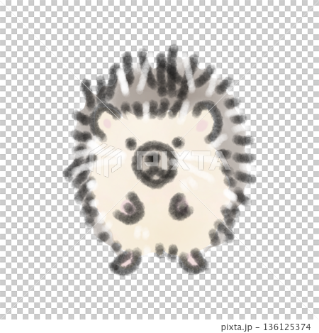 つぶらな瞳で佇むハリネズミの赤ちゃんの水彩風イラスト 飼育日記やペットコラムの挿絵に 136125374