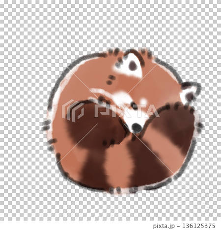 水彩插畫,描繪了一隻蜷縮著睡覺的小紅熊貓。非常適合用來表現睡眠和休息的主題。 水彩插畫,描繪了一隻蜷縮著睡覺的小紅熊貓。非常適合用來表現睡眠和休息的主題。 136125375