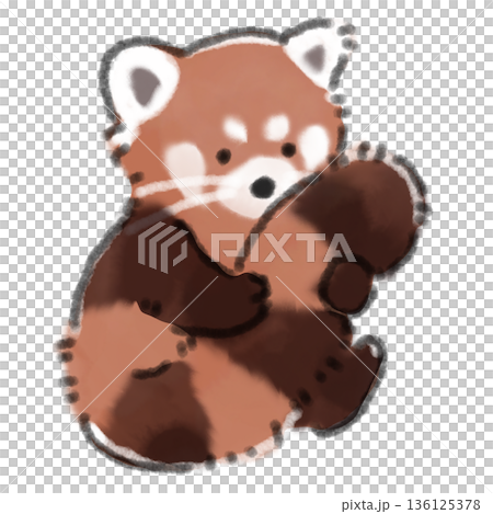 A watercolor illustration of a baby red panda sitting on its back. Perfect for zoo guides and pet-related websites. 136125378