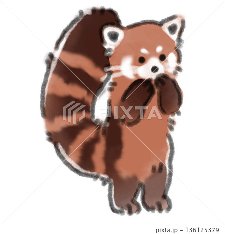 二本足で立っているレッサーパンダの赤ちゃんの水彩風イラスト 成長や