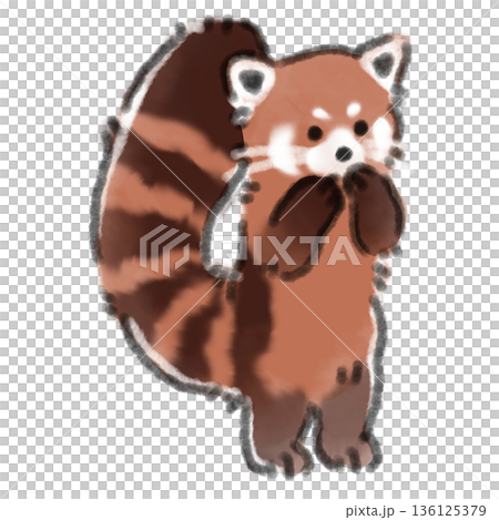 Watercolor illustration of a baby red panda standing on two legs. Perfect for columns on growth and exercise. 136125379