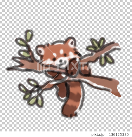 木の枝に登っているレッサーパンダの赤ちゃんの水彩風イラスト 自然や遊びをテーマにしたブログに 136125380