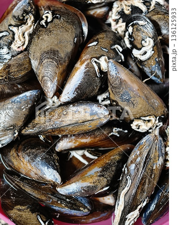 Fresh mussels soaking in water being prepared for cooking Fresh mussels soaking in water being prepared for cooking 136125933