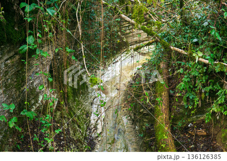 Small river in the canyon in the tropical forest in winter Small river in the canyon in the tropical forest in winter 136126385