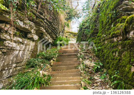 Stone stairs in the park among natural rocks Stone stairs in the park among natural rocks 136126388