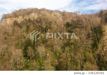 Winter view of the forest in the Caucasus mountains. Nature background. Winter view of the forest in the Caucasus mountains. Nature background. 136126392