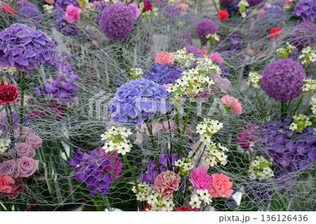 Flowers in the garden Flowers in the garden 136126436