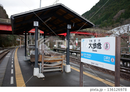 徳島県 大歩危駅 徳島県 大歩危駅 136126978