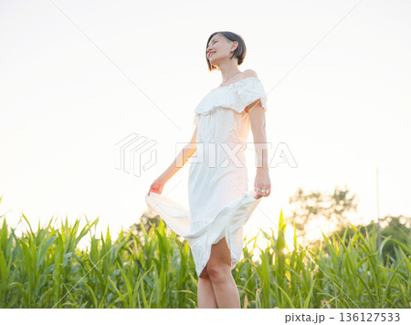 Beautiful woman in white dress standing in summer field during golden sunset in Croatia, warm sunlight, romantic evening mood, natural countryside atmosphere, soft wind and peaceful scene 136127533