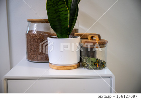 Minimal kitchen decor with potted plant and glass jars on white shelf 136127697