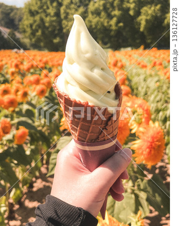 ソフトクリーム 136127728