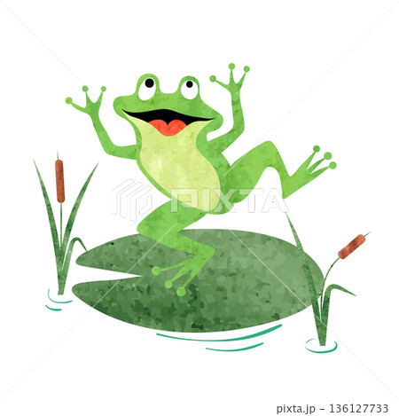 Cartoon Frog on lily pad. Vector watercolor illustration Cartoon Frog on lily pad. Vector watercolor illustration 136127733