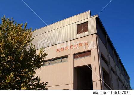 松原市民体育館 松原市民体育館 136127825