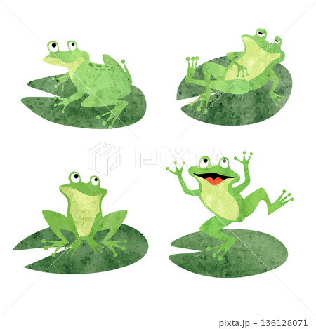 Cartoon frogs sitting on lily pads. Vector watercolor  green toads illustration 136128071