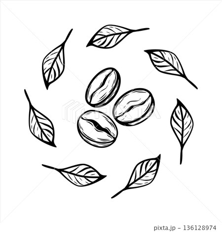 Coffee Beans with Circle of Leaves Line Art Vector Illustration 136128974