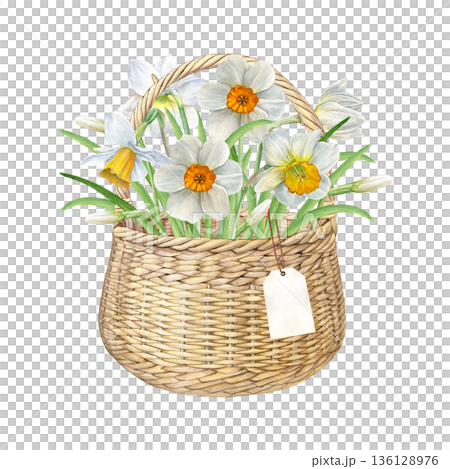 Watercolor illustration of a wicker basket with white and yellow daffodils and a hanging gift tag, botanical style. Perfect for spring cards, invitations, labels, decor, and packaging Watercolor illustration of a wicker basket with white and yellow daffodils and a hanging gift tag, botanical style. Perfect for spring cards, invitations, labels, decor, and packaging 136128976