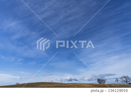 冬空と雲と草原 136129058