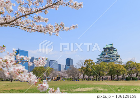 大阪城と春の西の丸庭園の桜 (大阪府大阪市中央区) 大阪城と春の西の丸庭園の桜 (大阪府大阪市中央区) 136129159