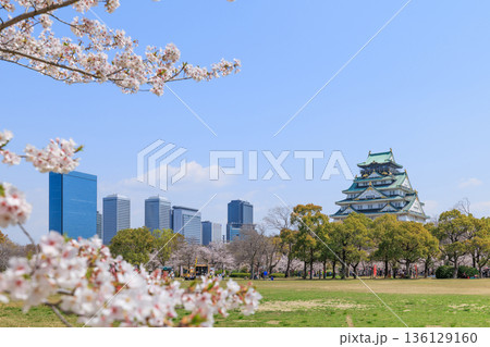 大阪城と春の西の丸庭園の桜 (大阪府大阪市中央区) 大阪城と春の西の丸庭園の桜 (大阪府大阪市中央区) 136129160