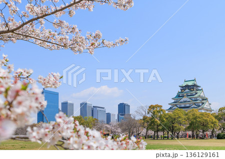 大阪城と春の西の丸庭園の桜 (大阪府大阪市中央区) 大阪城と春の西の丸庭園の桜 (大阪府大阪市中央区) 136129161