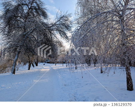 Icy road through a serene winter wonderland with snow and frosted branches. Icy road through a serene winter wonderland with snow and frosted branches. 136129370