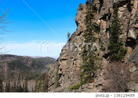 Steep rocky cliff lined with pine trees under clear blue sky. Scenic forested valley landscape in mountainous terrain Steep rocky cliff lined with pine trees under clear blue sky. Scenic forested valley landscape in mountainous terrain 136129489