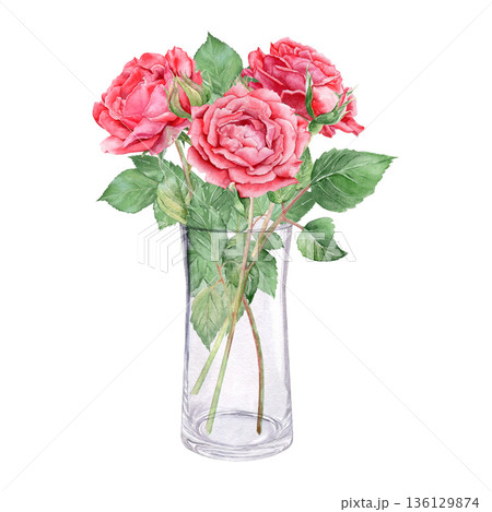 Watercolor illustration of lush red roses in a transparent glass vase hand painted .Realistic flower bouquet isolated on white background Watercolor illustration of lush red roses in a transparent glass vase hand painted .Realistic flower bouquet isolated on white background 136129874