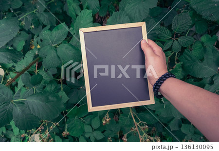Hand holding a blank wooden frame against lush green foliage with copy space for design Hand holding a blank wooden frame against lush green foliage with copy space for design 136130095